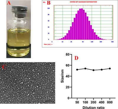 Houttuynia Essential Oil and its Self-Microemulsion Preparation Protect Against LPS-Induced Murine Mastitis by Restoring the Blood–Milk Barrier and Inhibiting Inflammation